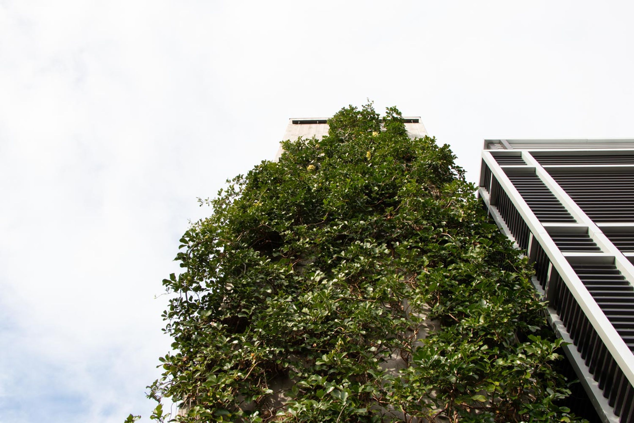 SRS Green Facades | Screens