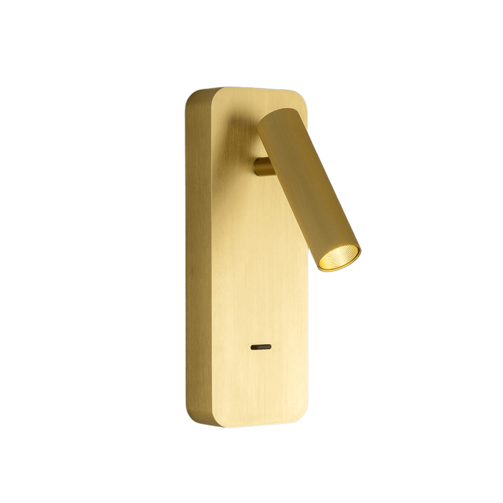 Burnaby Adjustable Wall Light