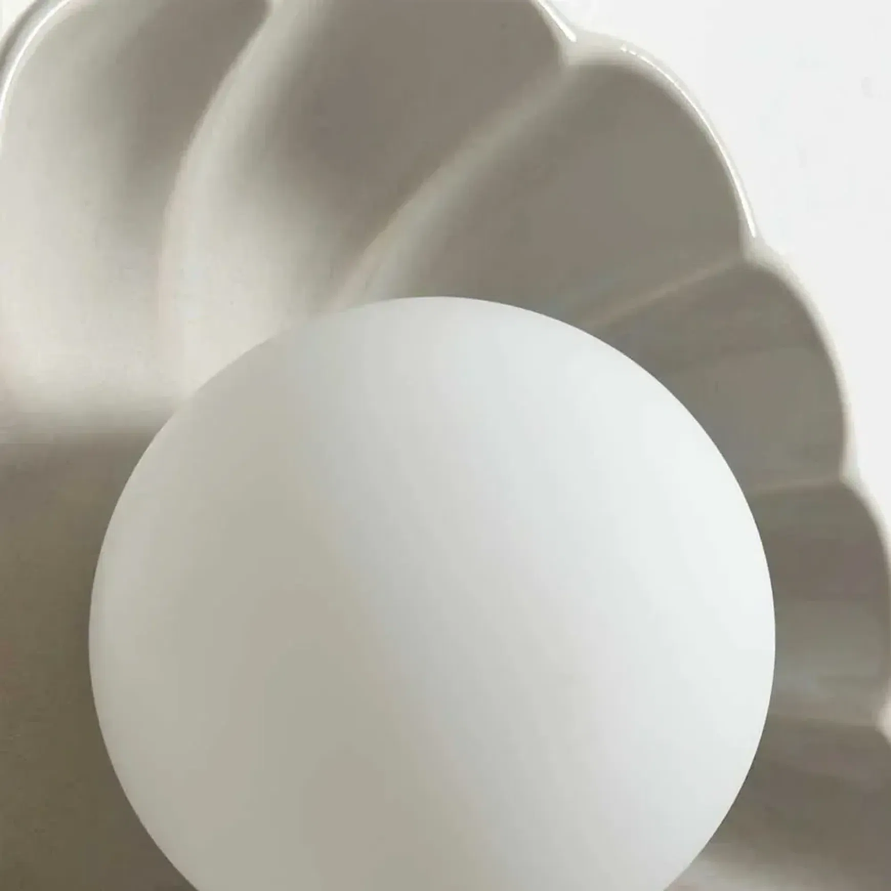Ceramic Wall Oyster Sconce Light