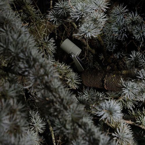 Ginko 1.0 | Wall Light