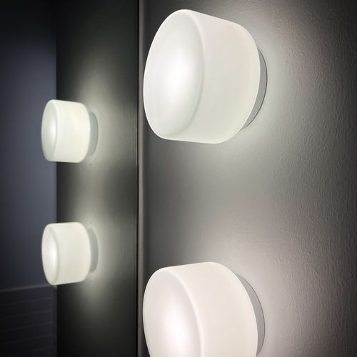 Nocturnal Corella Wall Light