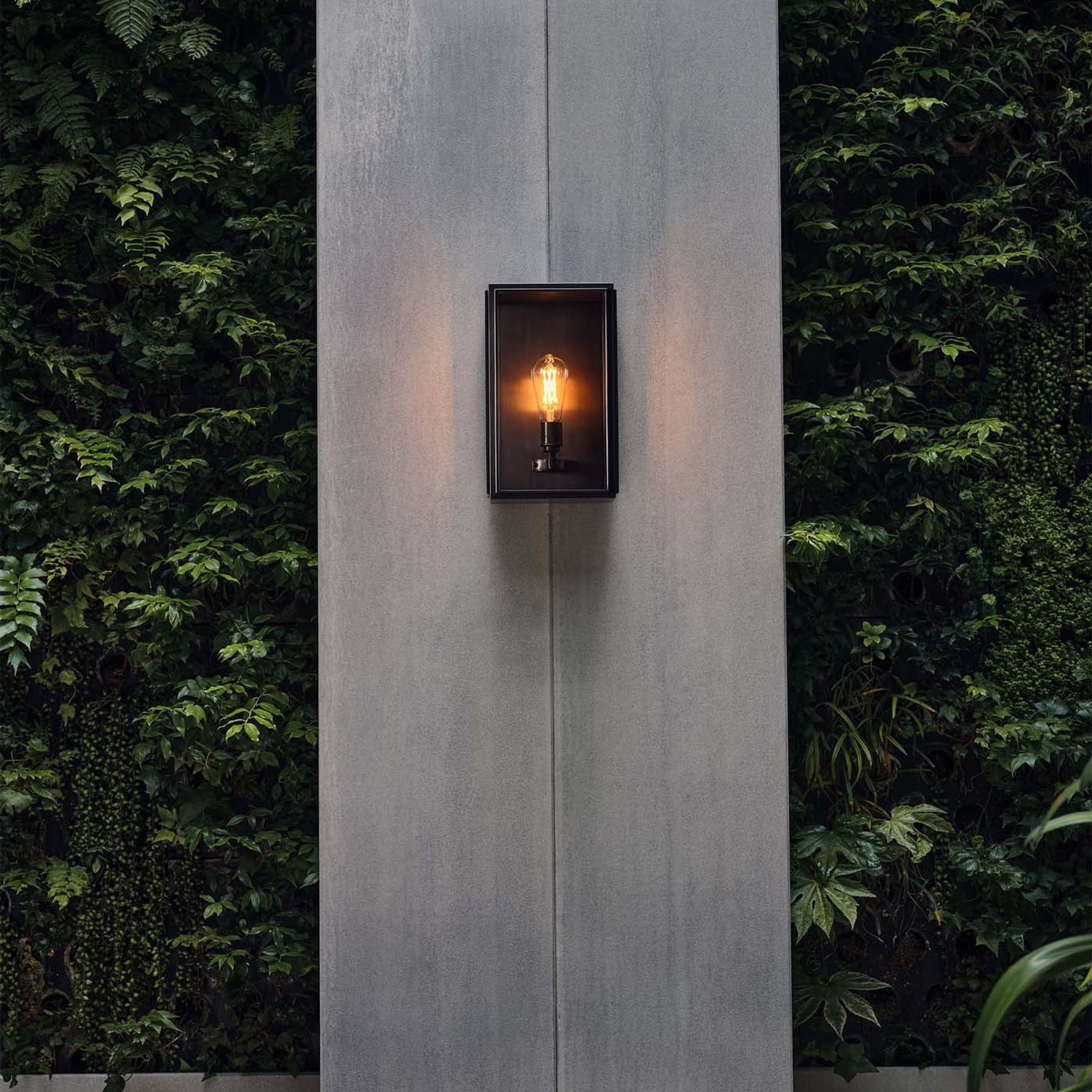 Birch Wall Light