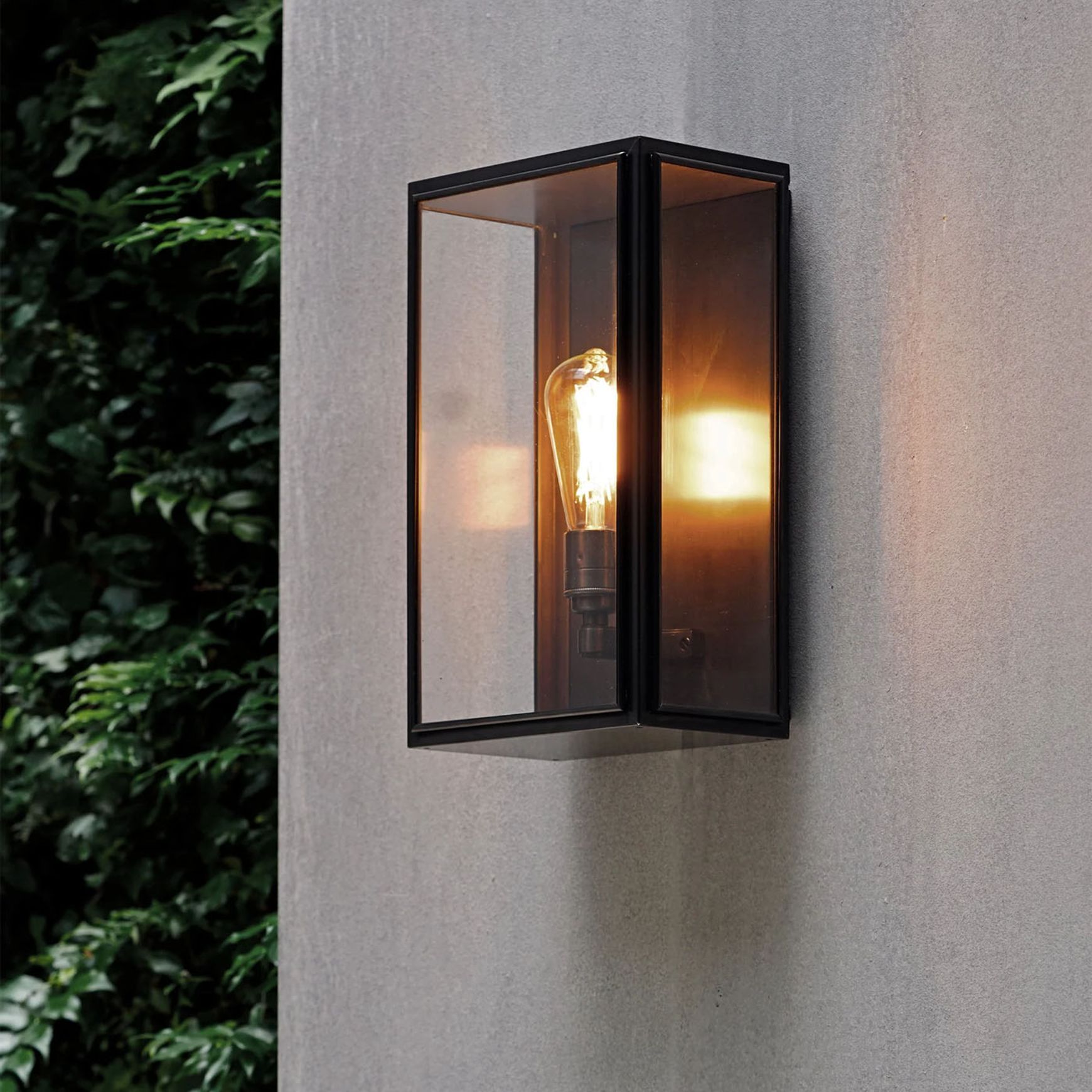 Birch Wall Light