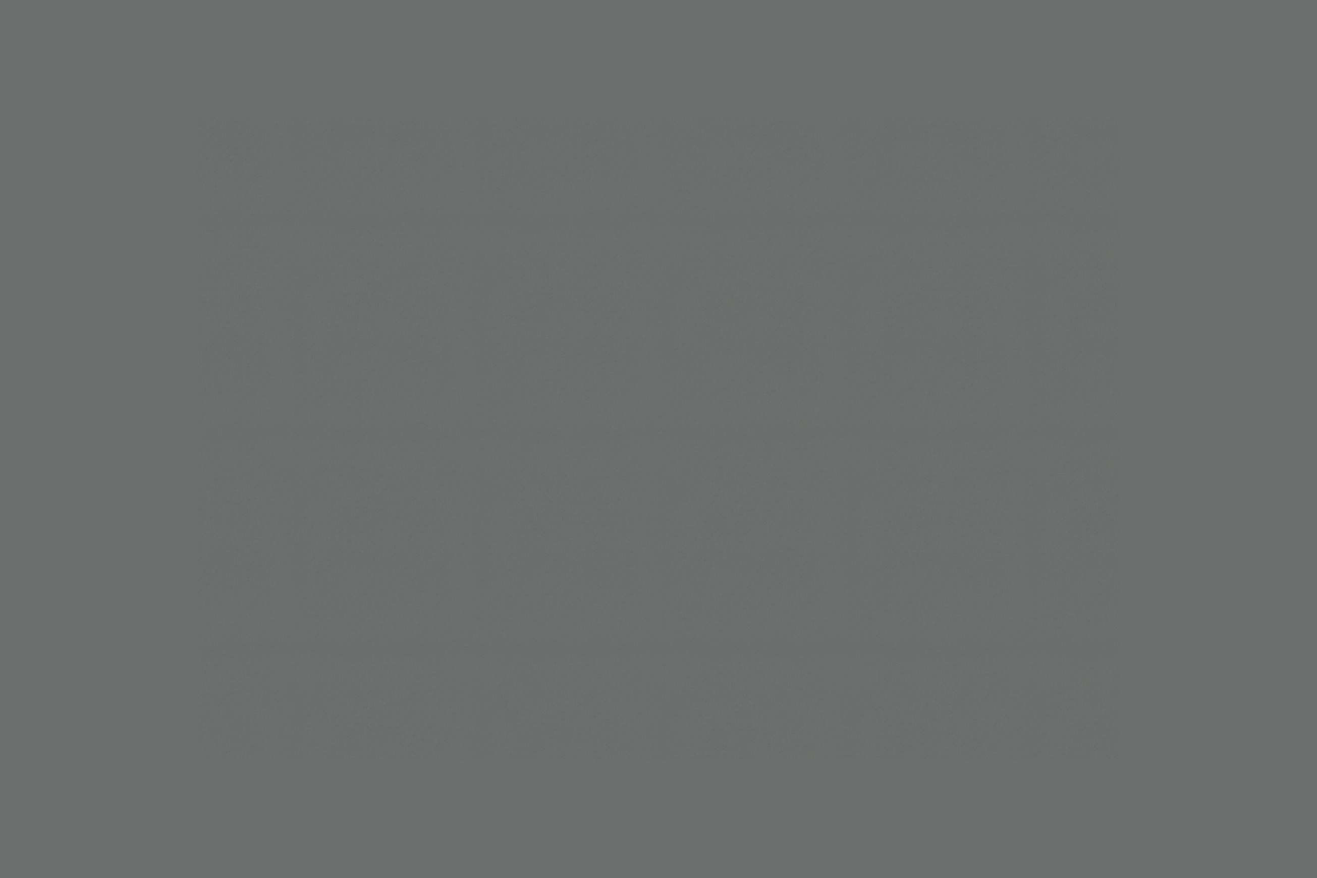 Altro Fortis Titanium 15™ Wall Protection