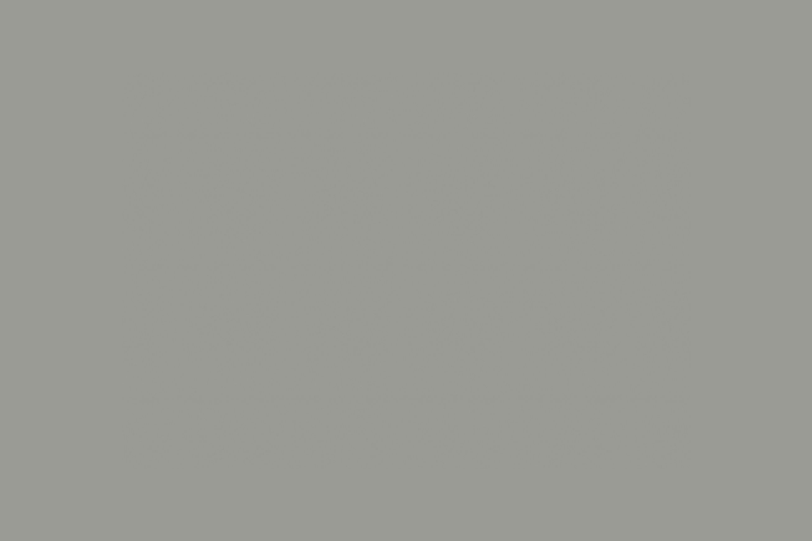 Altro Fortis Titanium 15™ Wall Protection