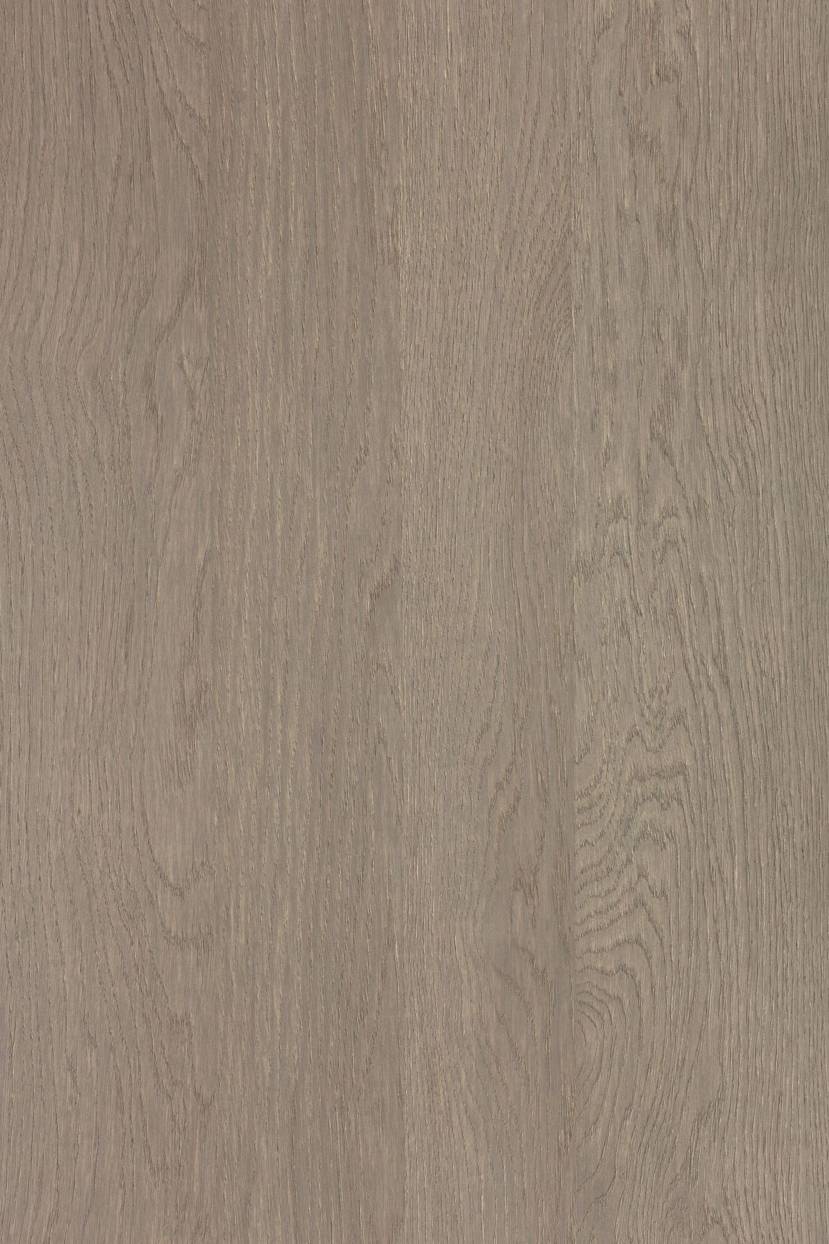 Alor Asta Veneer Panel