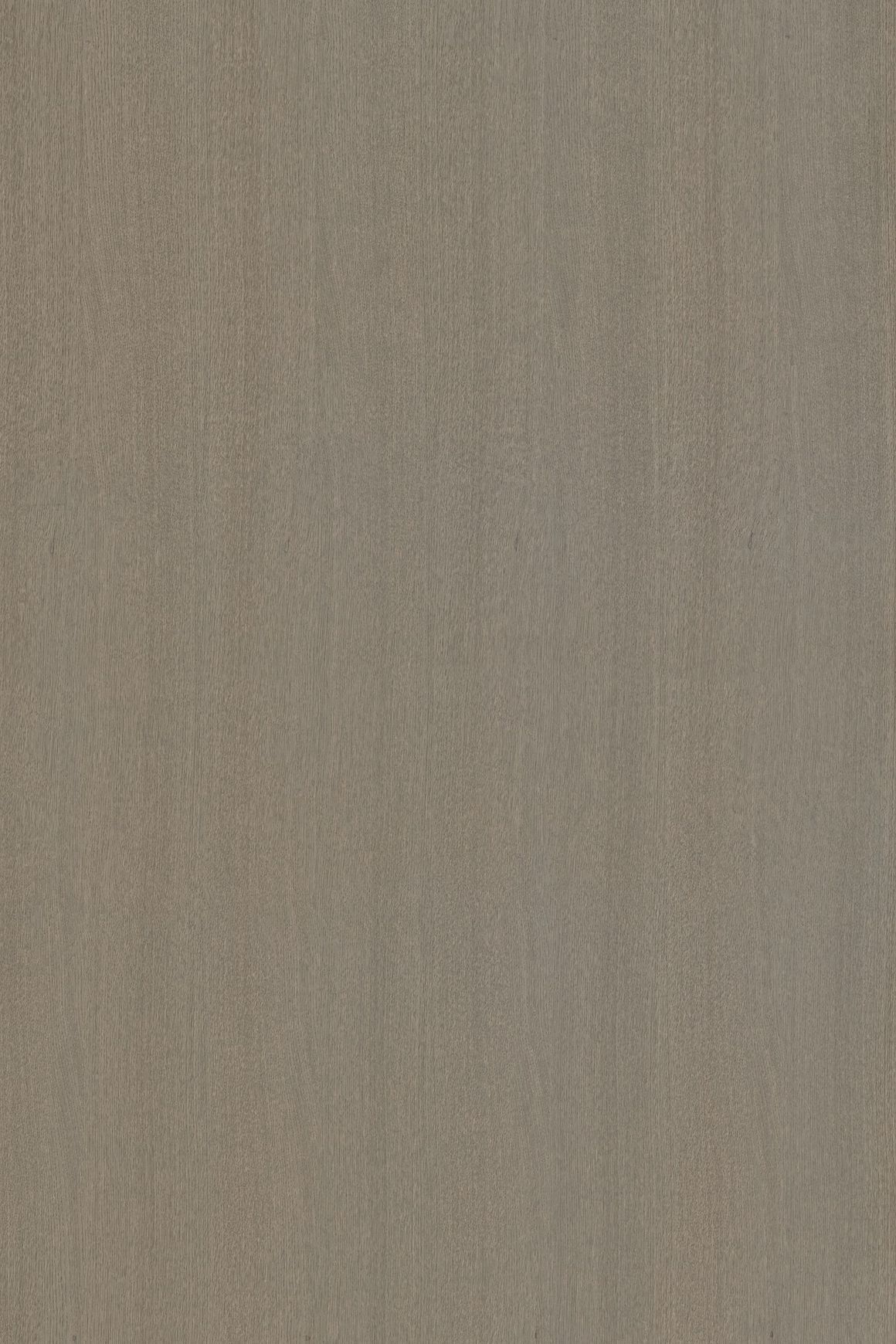 Alor Asta Oak 1F1B 3050mm Veneer Panel