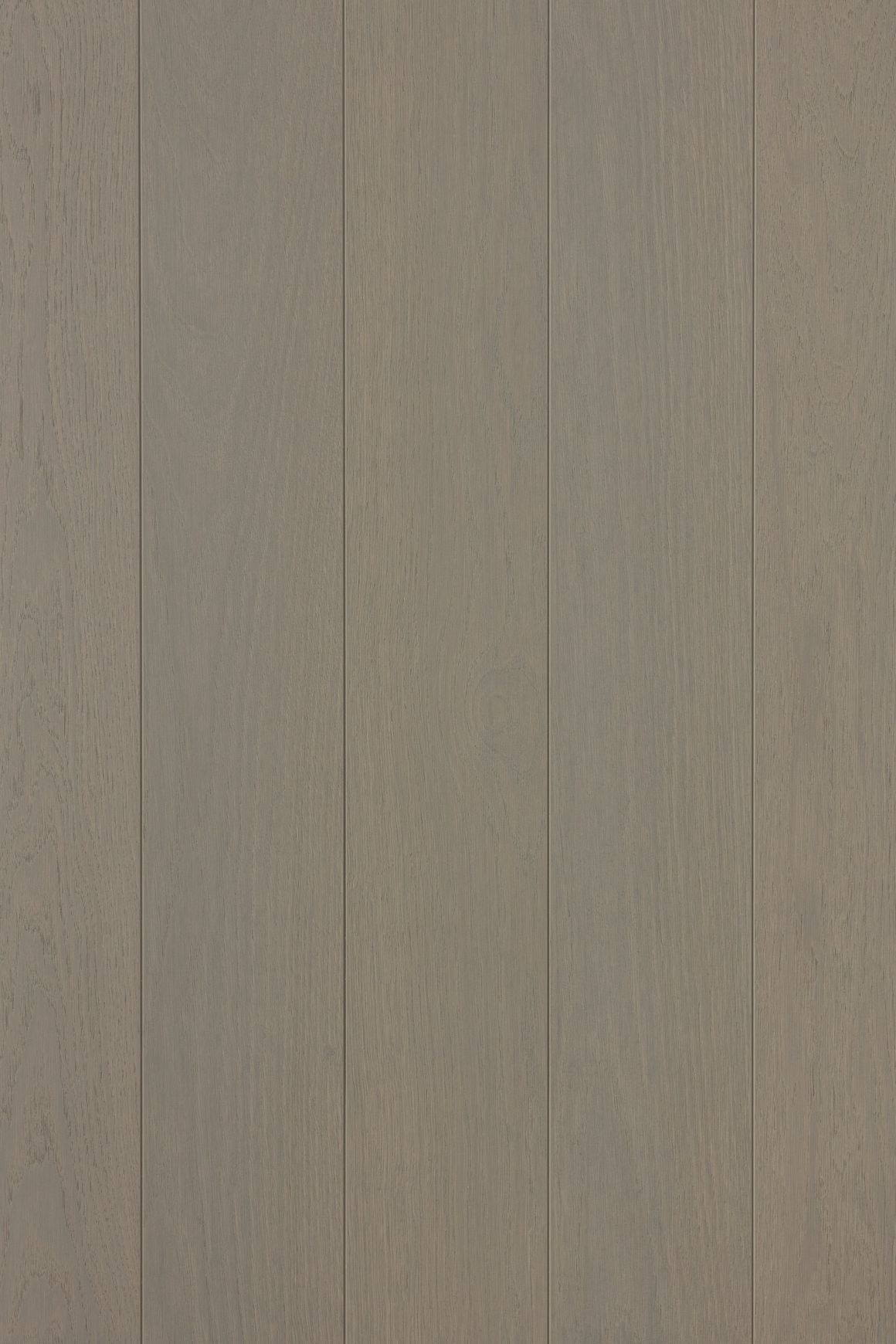 Alor Asta Oak Walls and Ceiling Panelling
