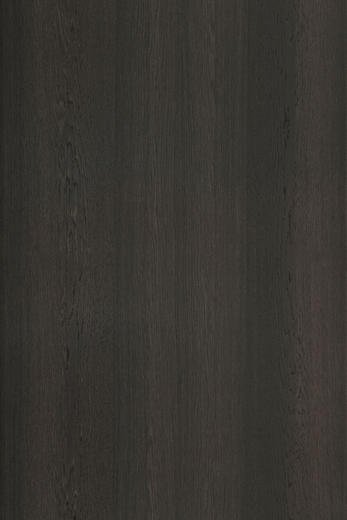 Alor Inca Oak 1F1B 2440mm Veneer Panel