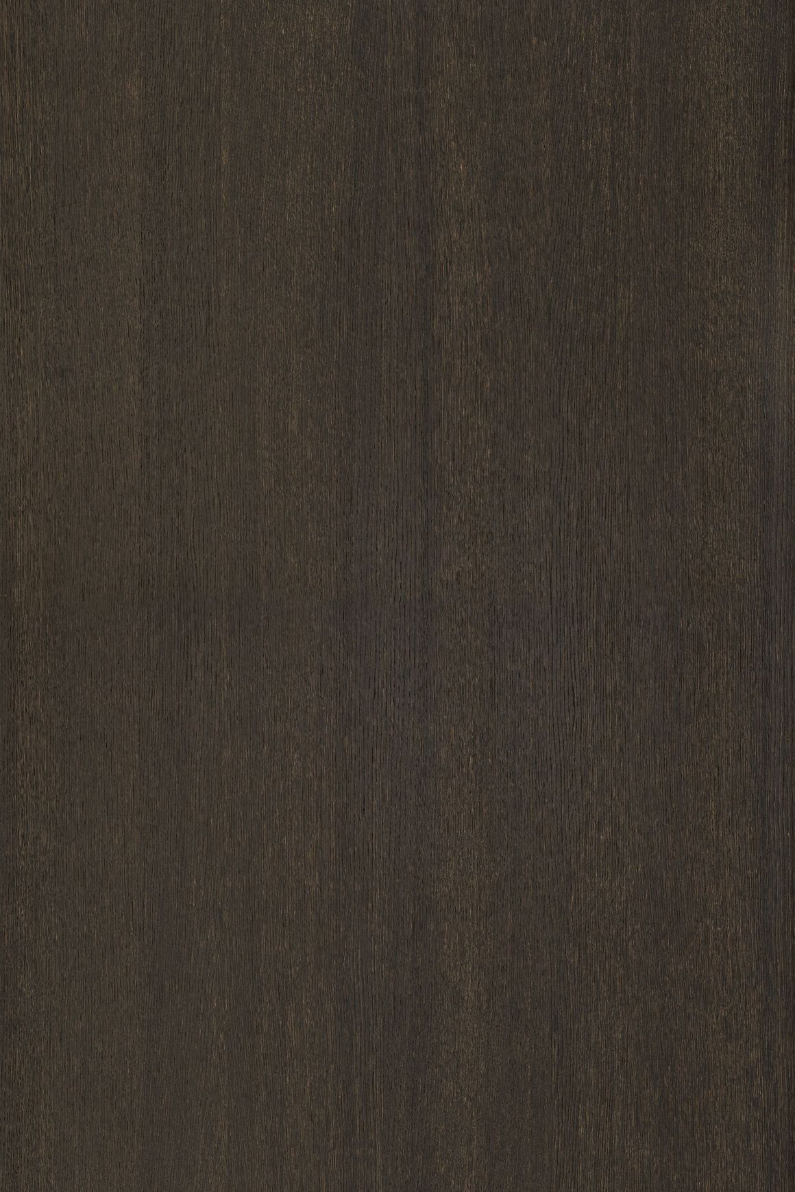 Alor Nox Oak Walls and Ceiling Panelling
