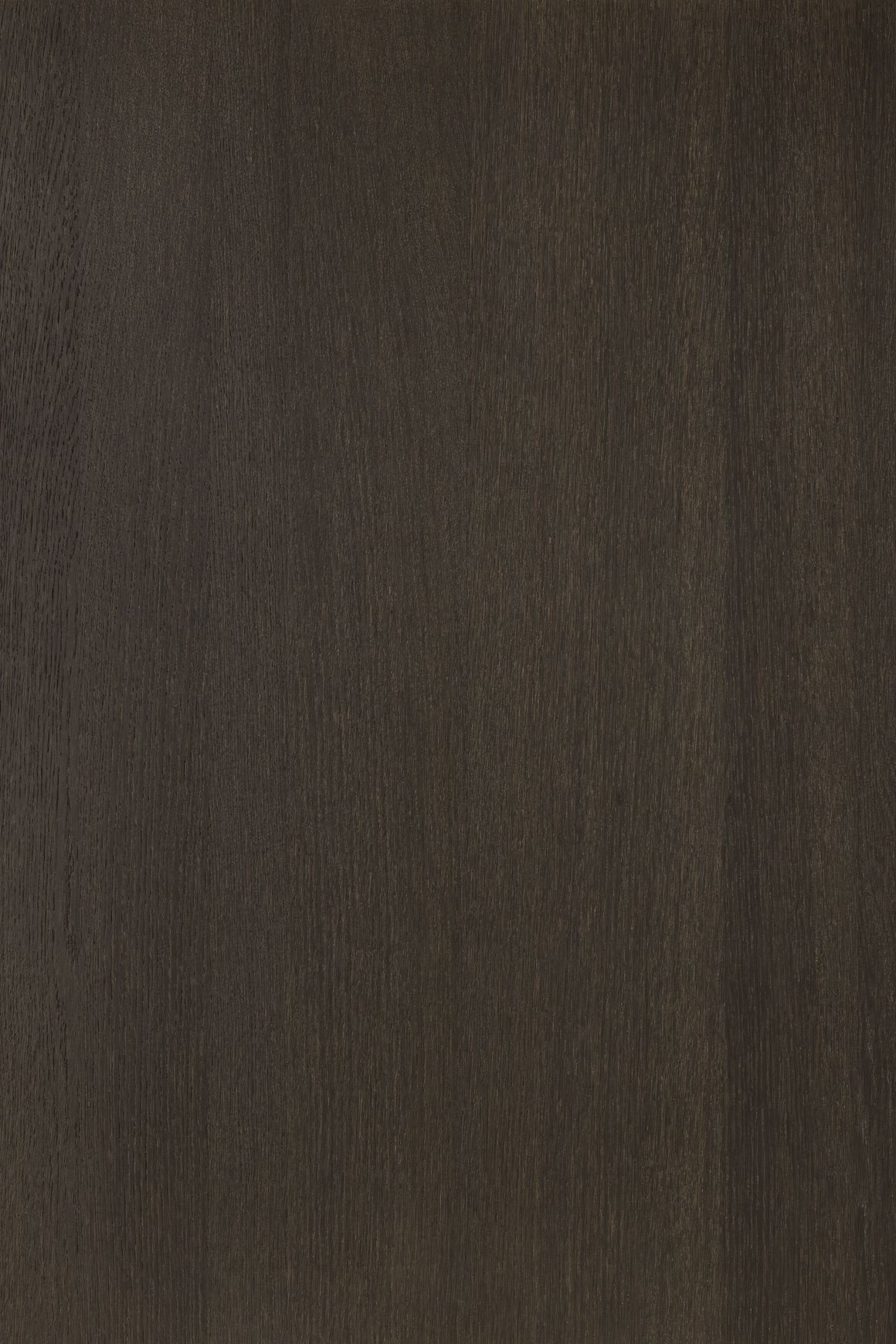 Alor Nox Oak 1F1B 3050mm Veneer Panel