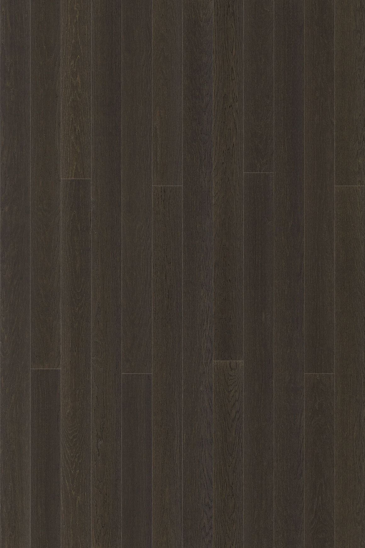 Alor Nox Oak Walls & Ceiling Panelling