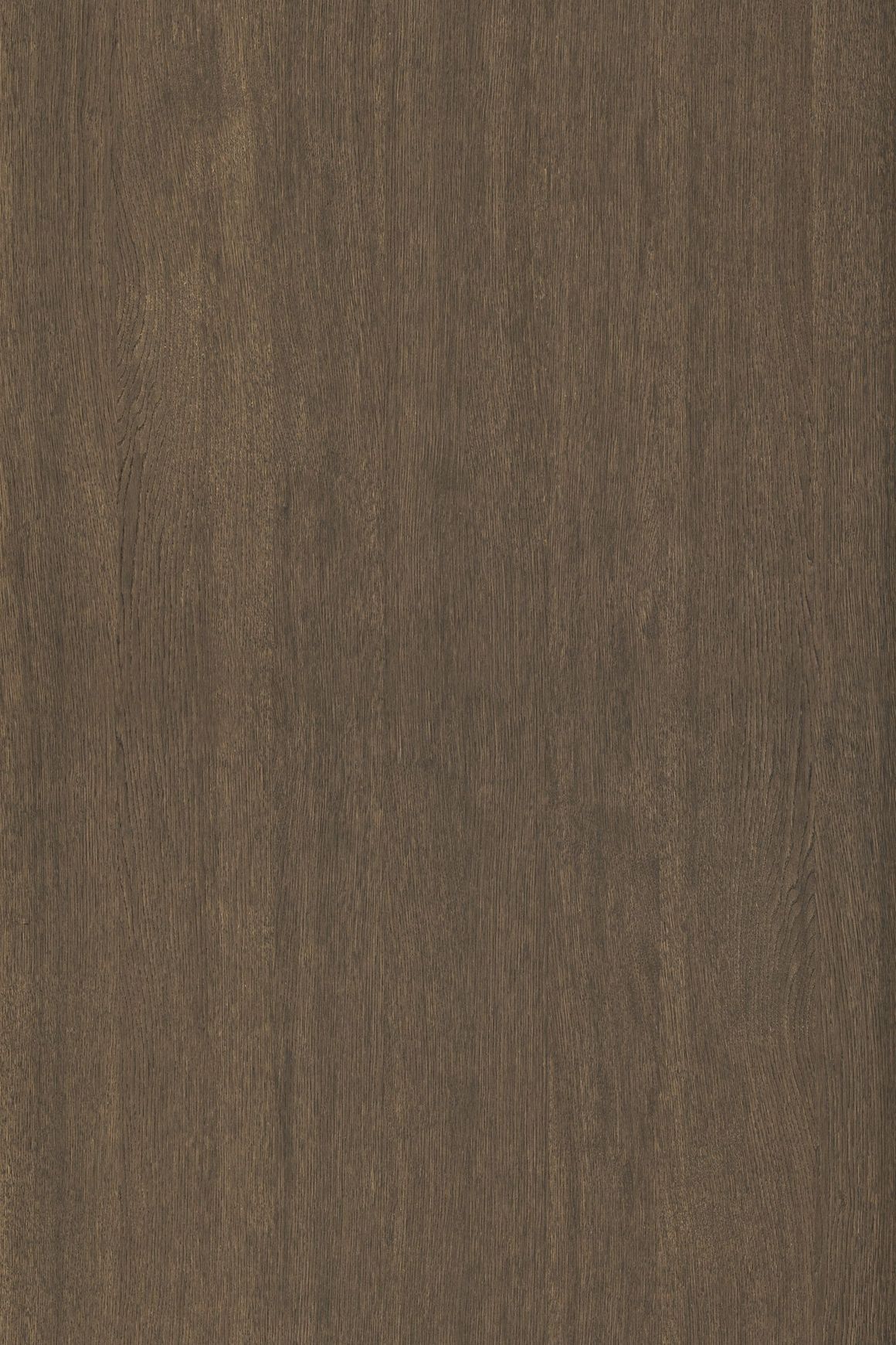Alor Ochre Oak 1F1B 2440mm Veneer Panel