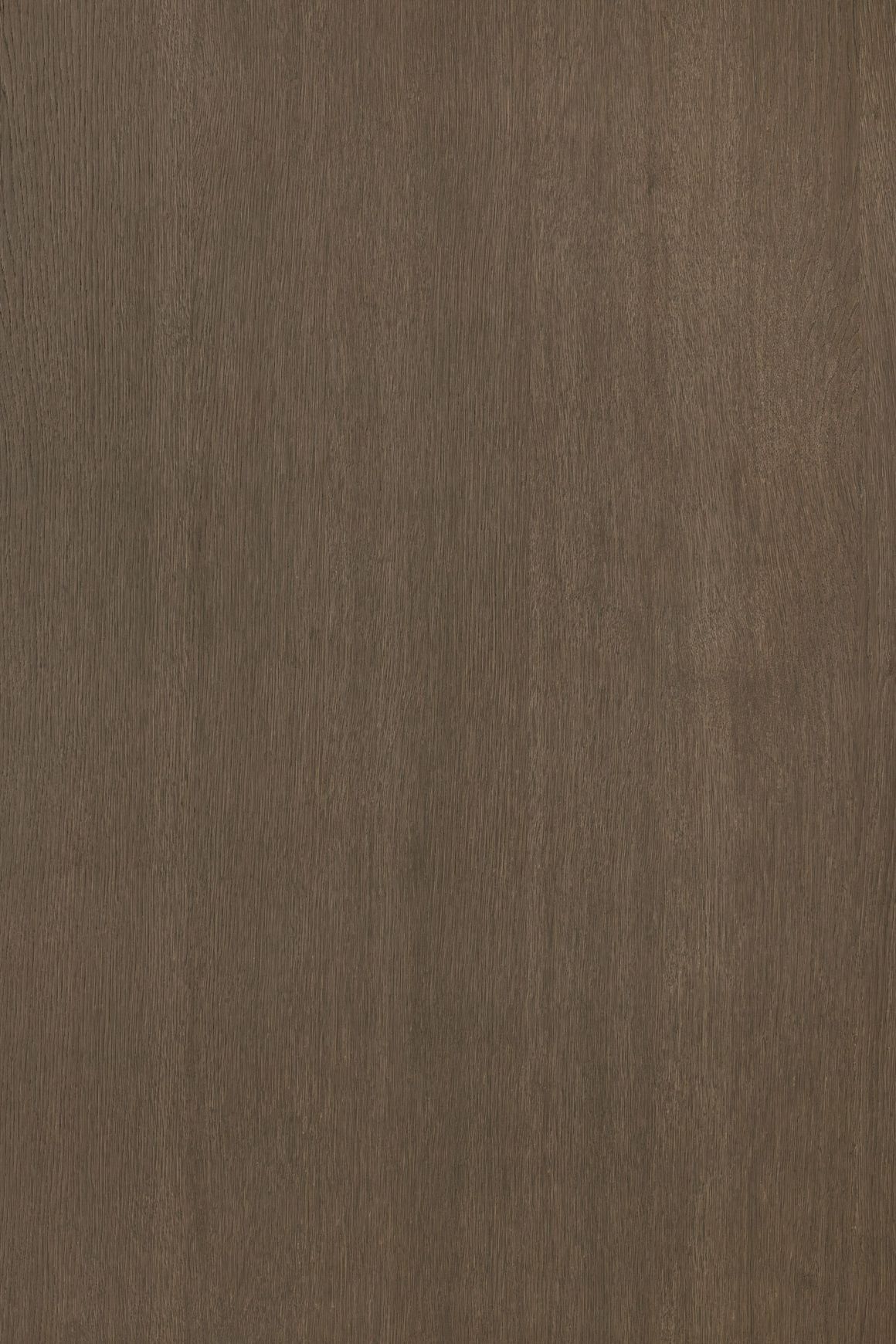 Alor Ochre Oak 1F1B 2440mm Veneer Panel