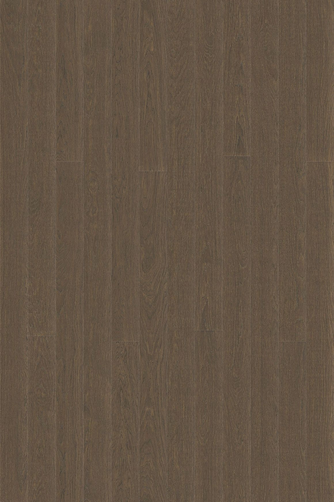 Alor Ochre Oak Walls & Ceiling Panelling