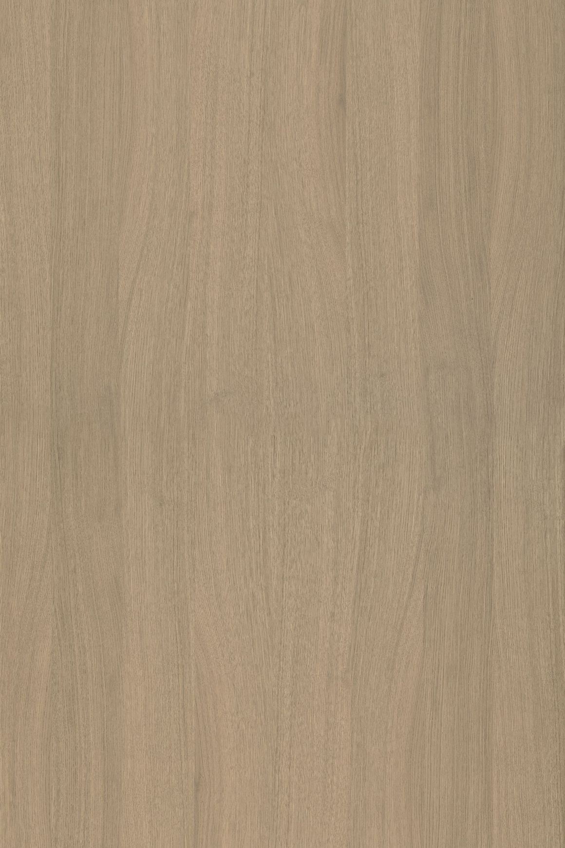 Alor Solis Oak 1F1B 3050mm Veneer Panel