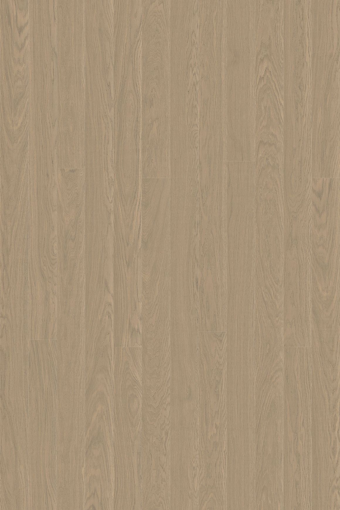 Alor Solis Oak Walls & Ceiling Panelling