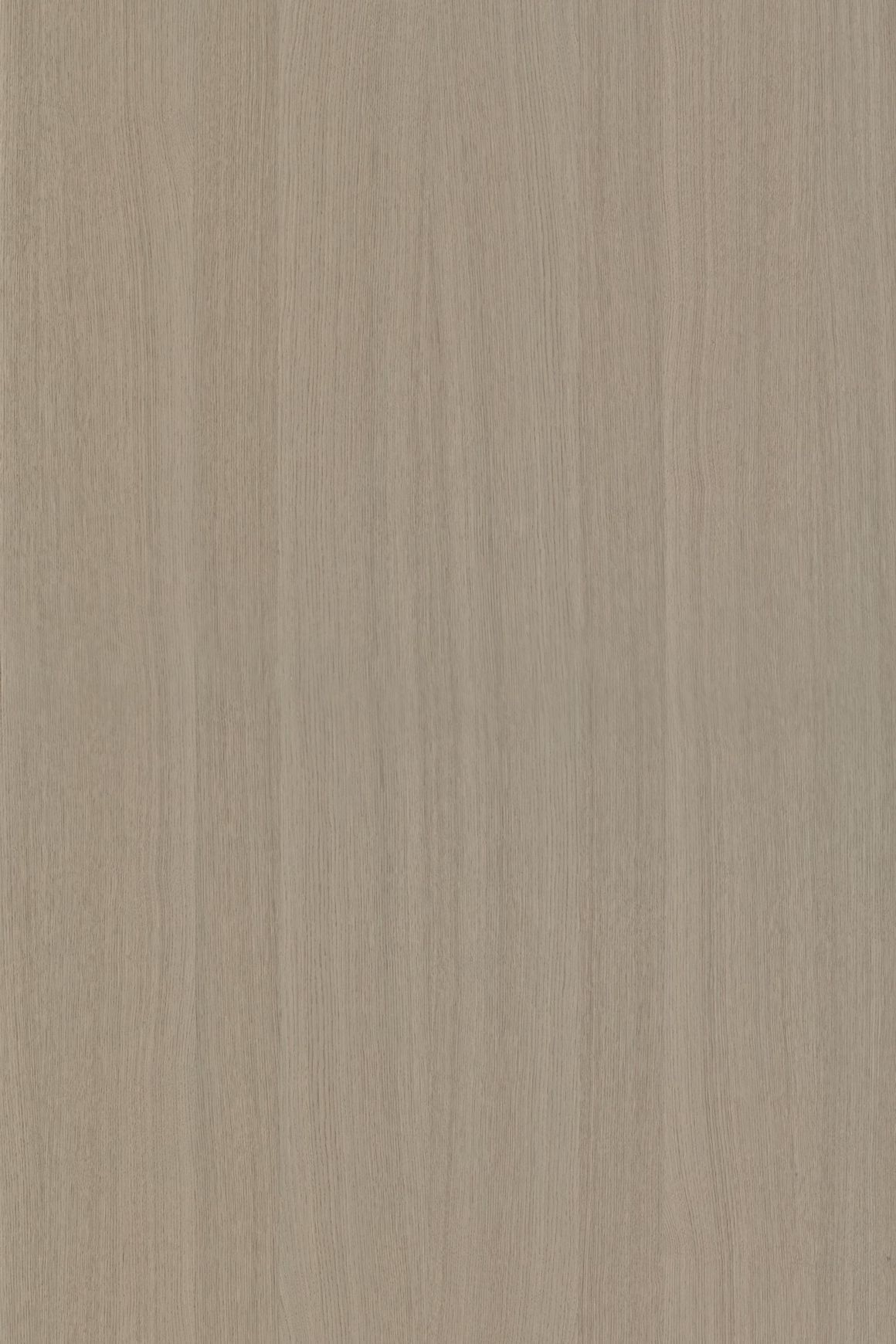 Alor Tusk Oak 1F1B 2440mm Veneer Panel