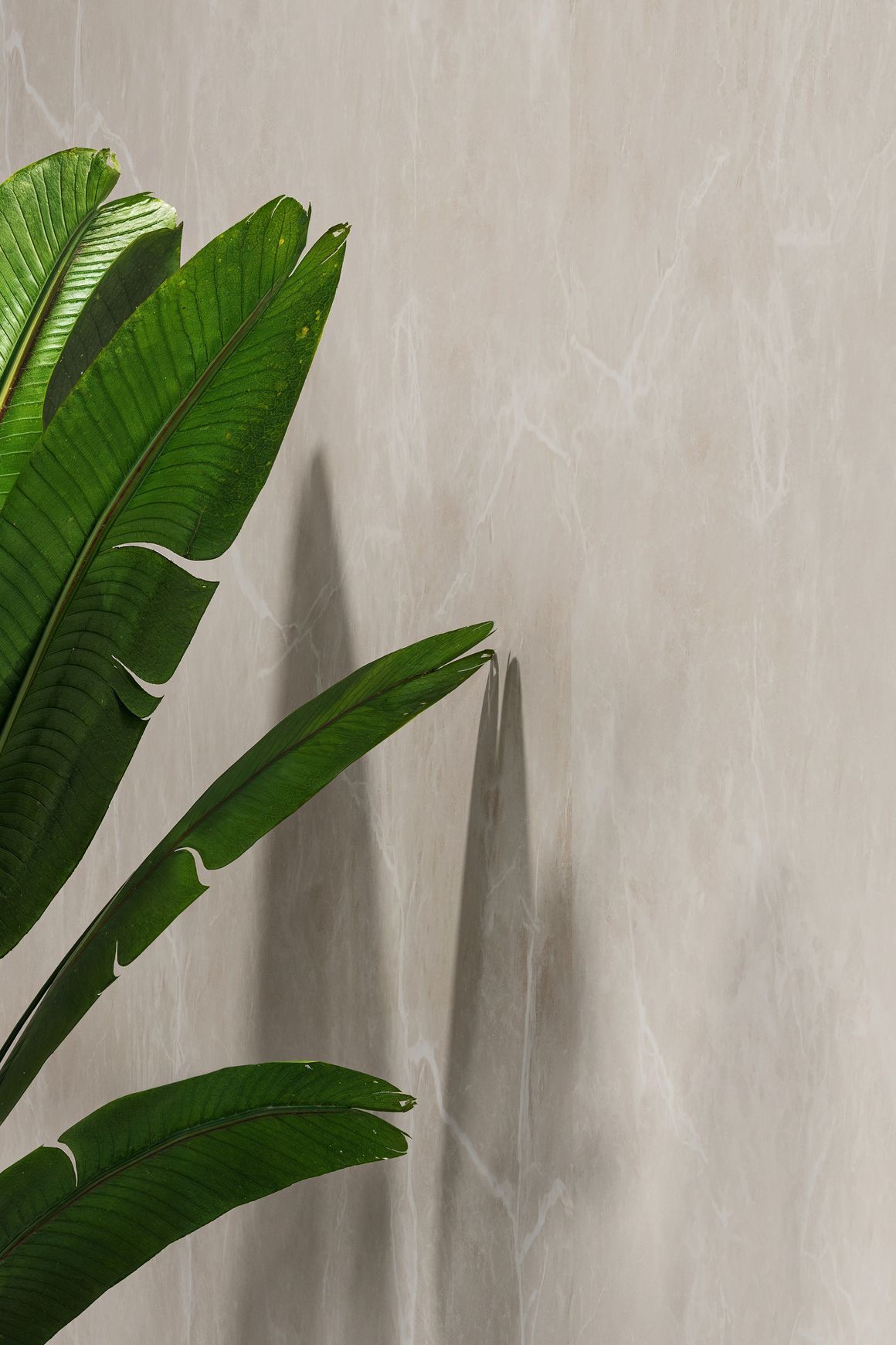 Altro Whiterock™ Wall Designs Decorative Hygienic Walling