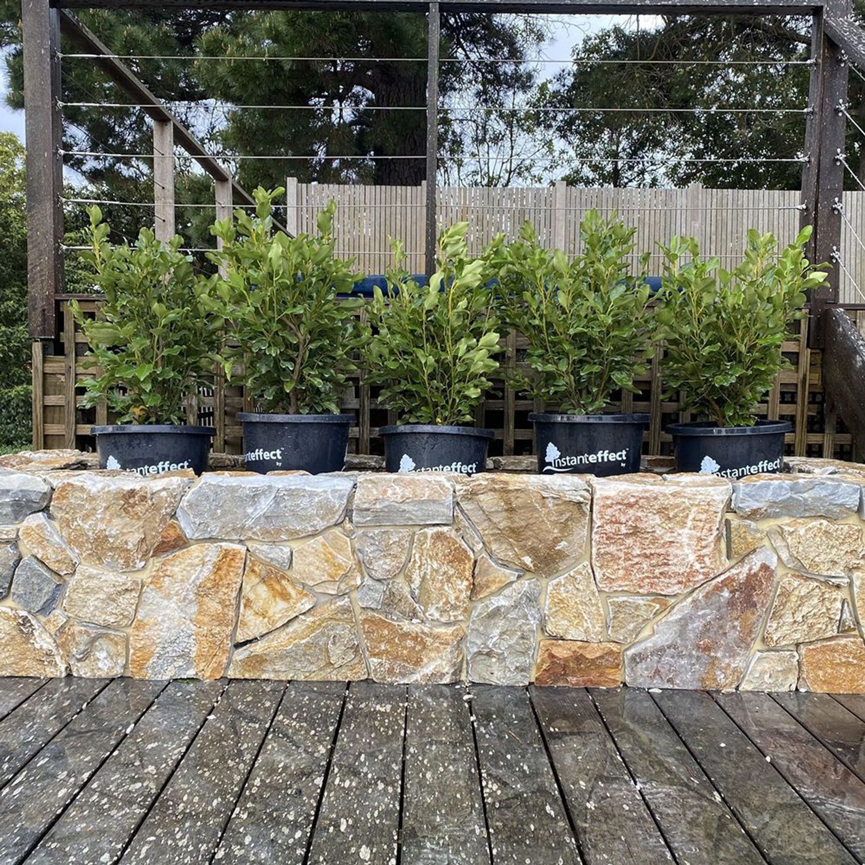 Loose Random Helvia Wall Cladding