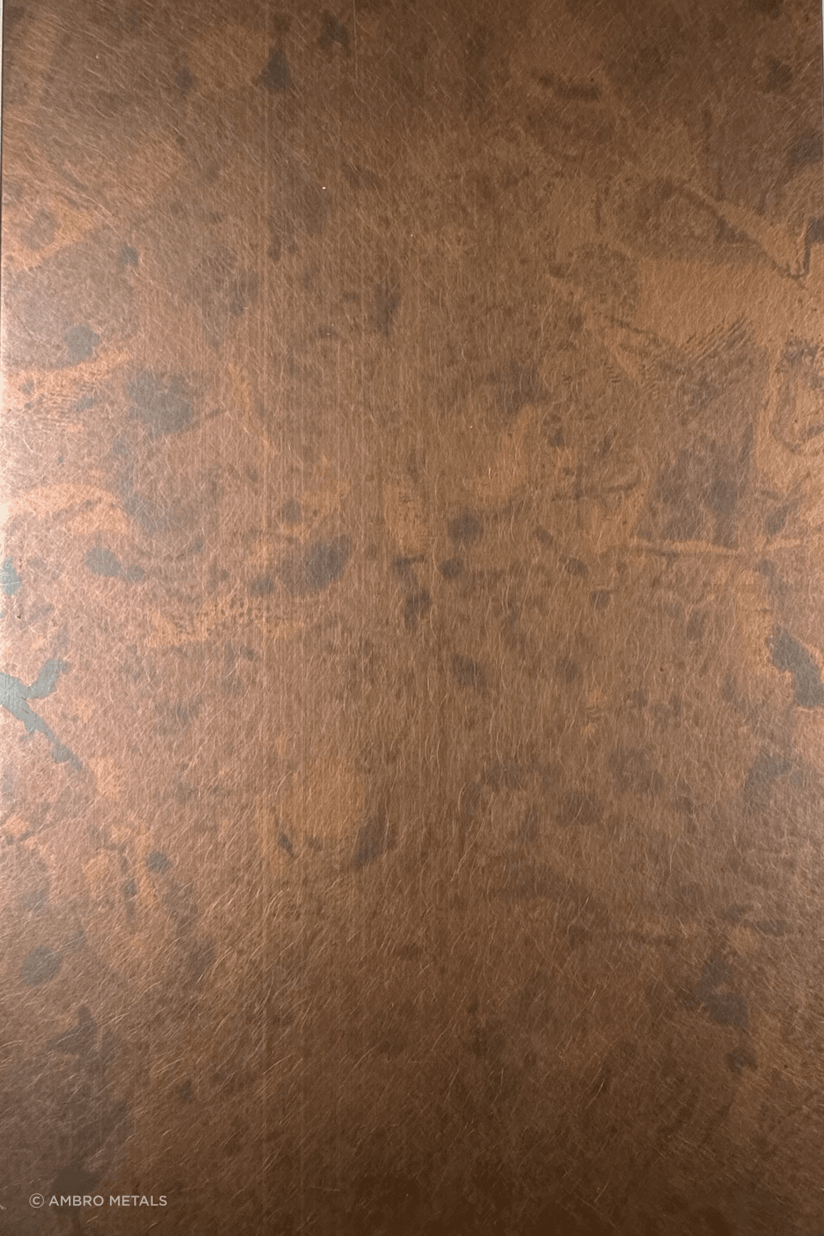 Electrocoated Stainless Steels