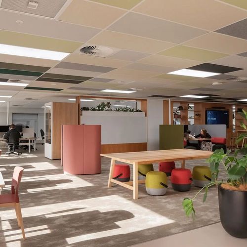 Color Accent Ceiling Tiles