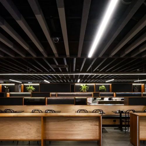 Frontier Ceiling Panel