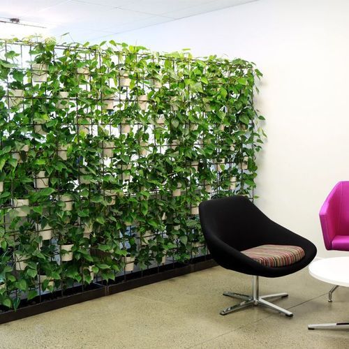 McGreals Indoor Plant Walls