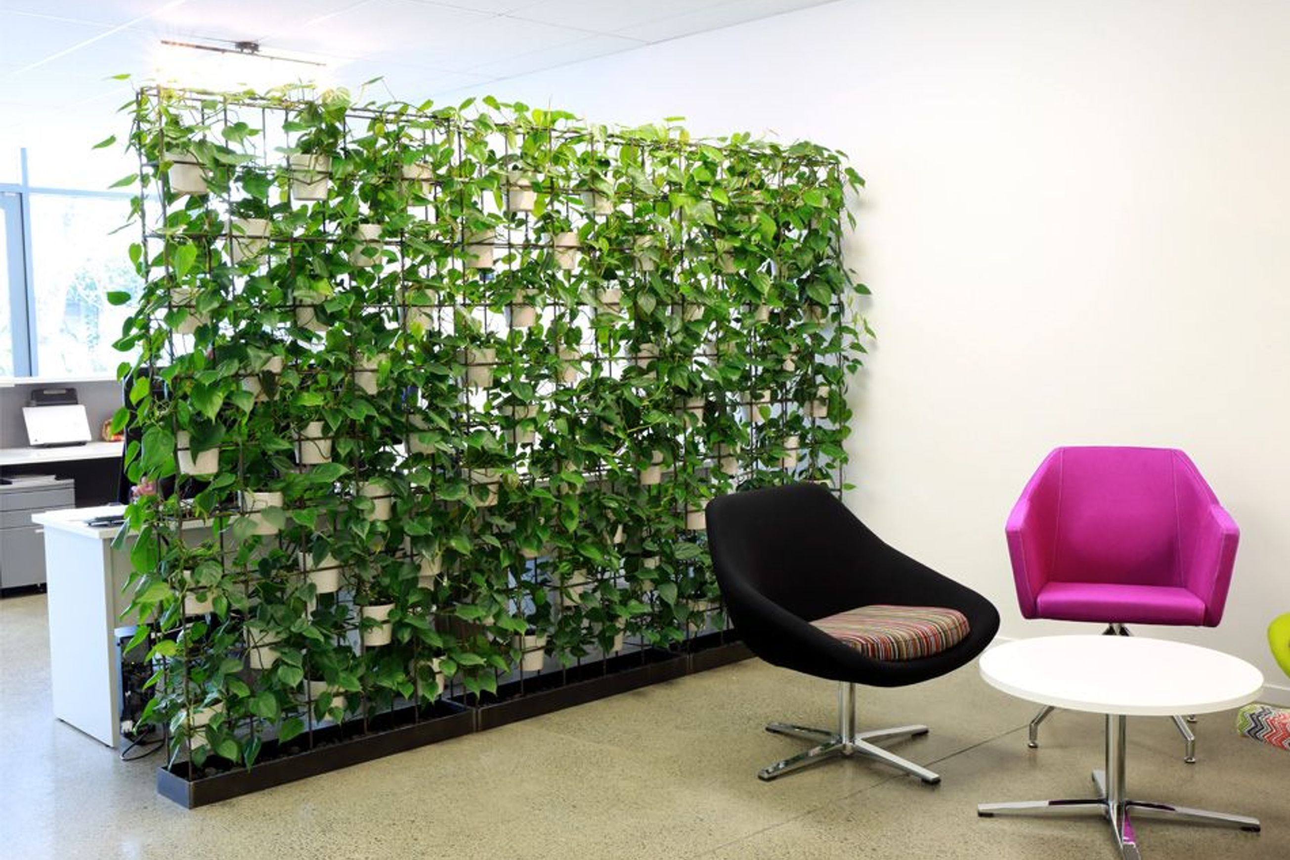 McGreals Indoor Plant Walls