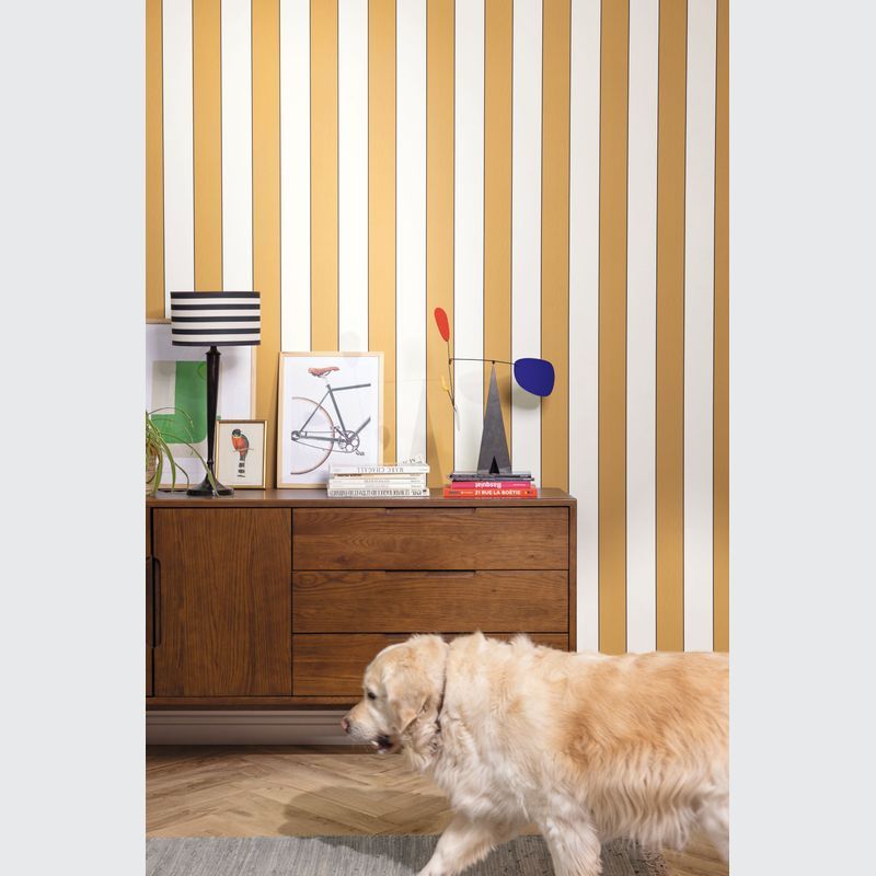 Basics | Wallpaper Collection