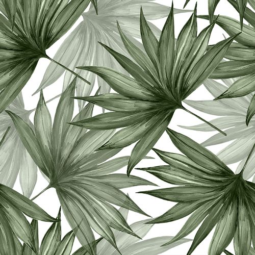 Olive Fan Palm Wallpaper