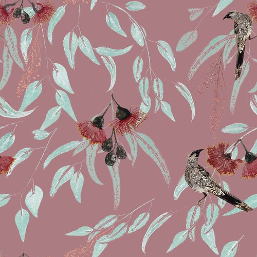 Silver Princess Wattlebird Wallpaper- Pink