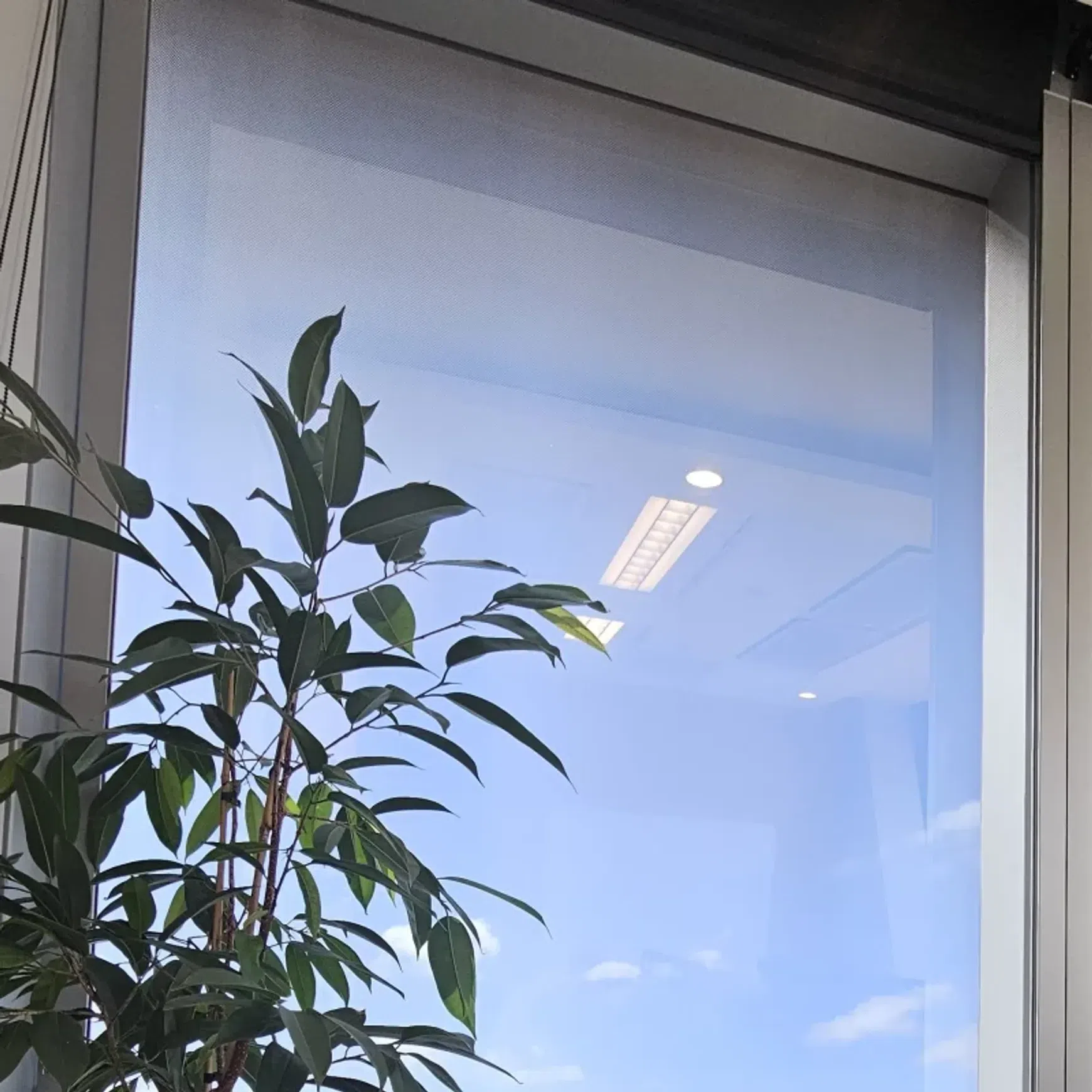 Lahood Educational Window Tinting & Frosting
