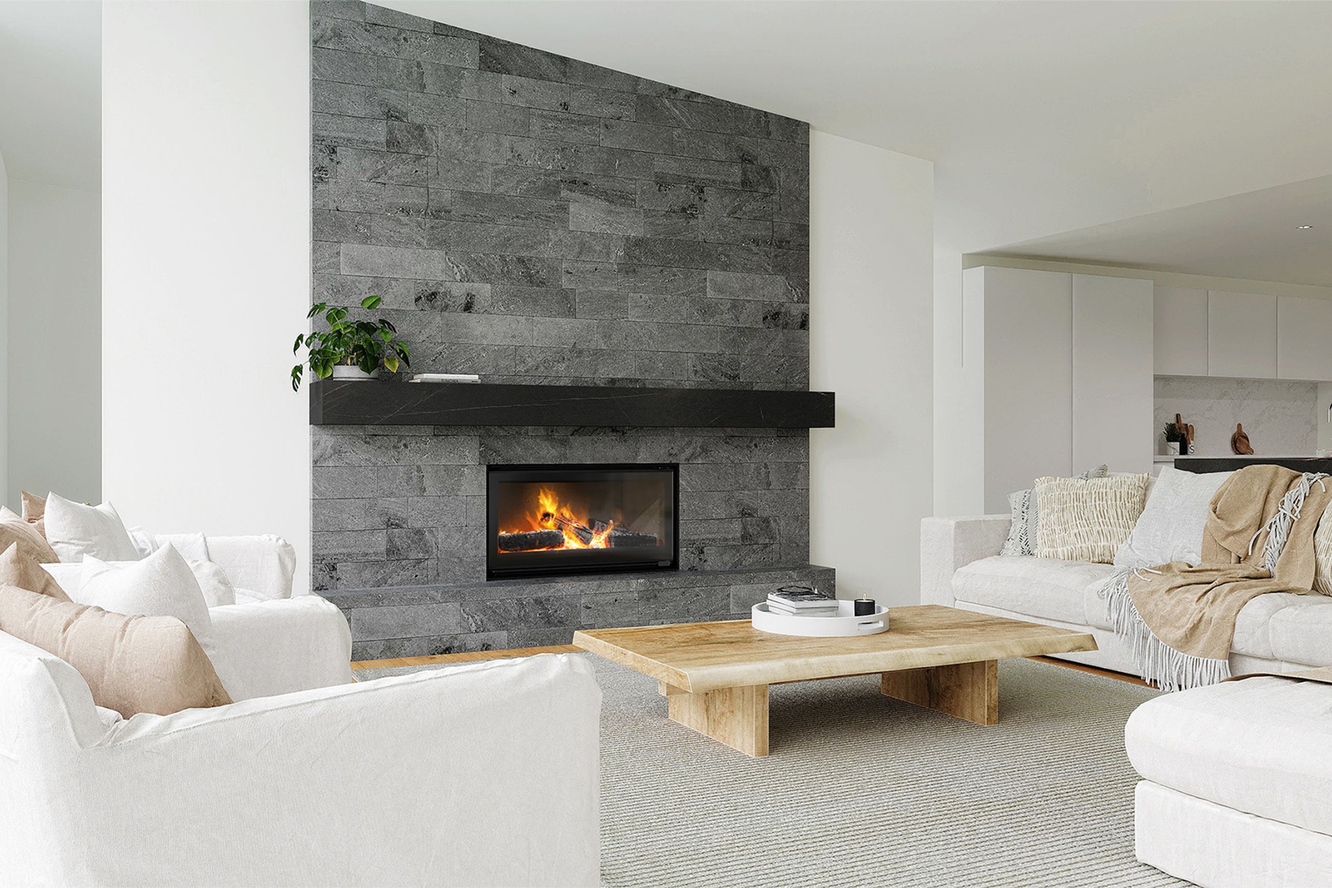 Escea TC970 Inbuilt Wood Fireplace