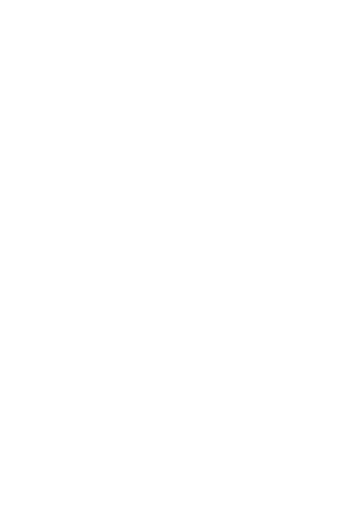 Seguin Topaze Wood Stove - Freestanding