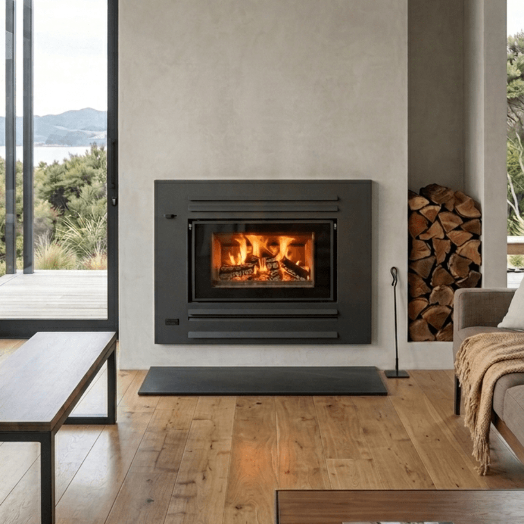 Xander Allure Insert Fireplace