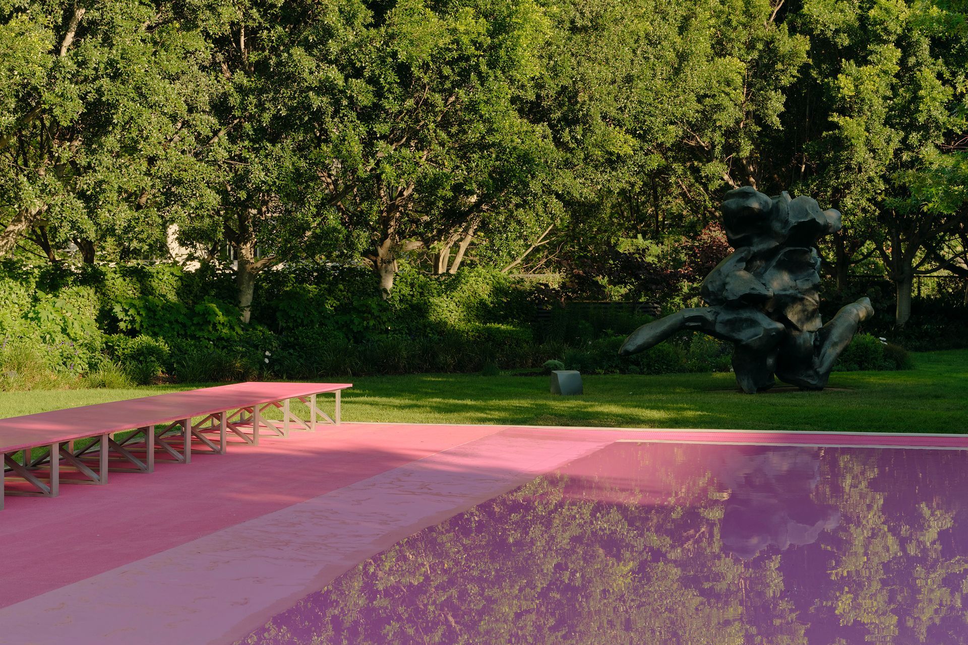 Supporting Image 3 for Taylor Knights