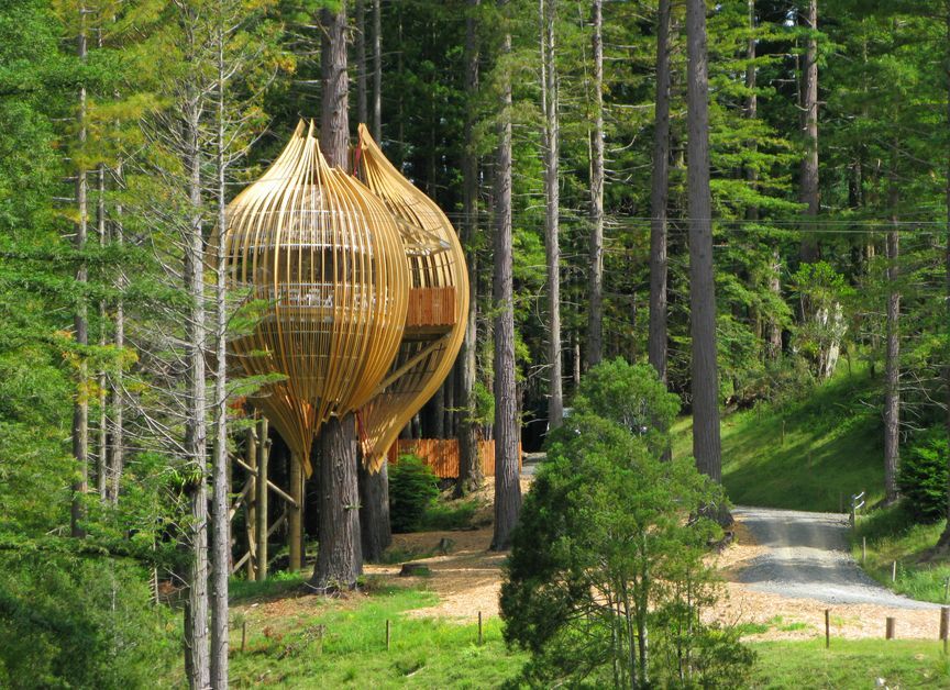 Pacific Environments Architects