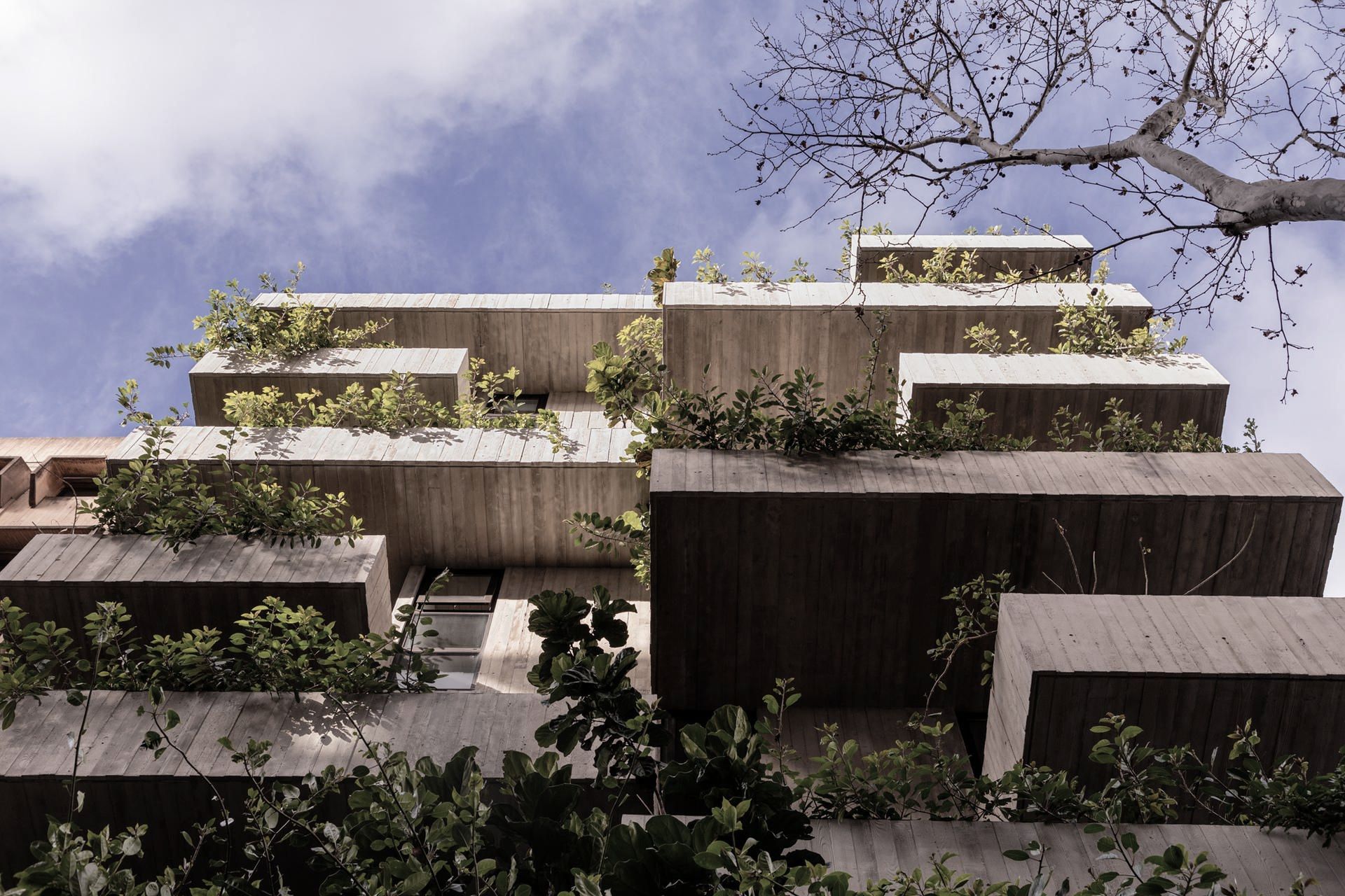 Supporting Image 2 for Woods Bagot