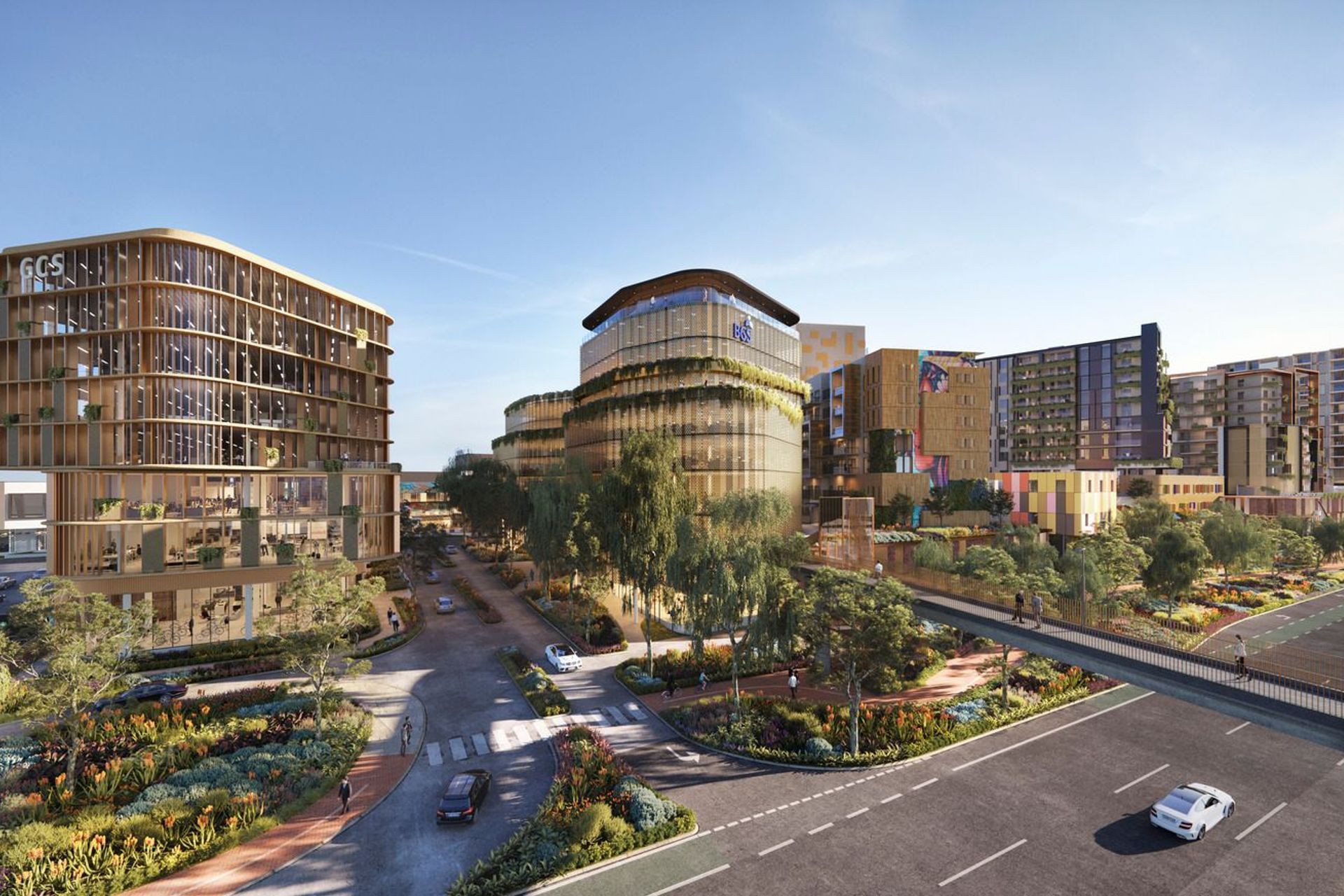 Supporting Image 1 for Buchan