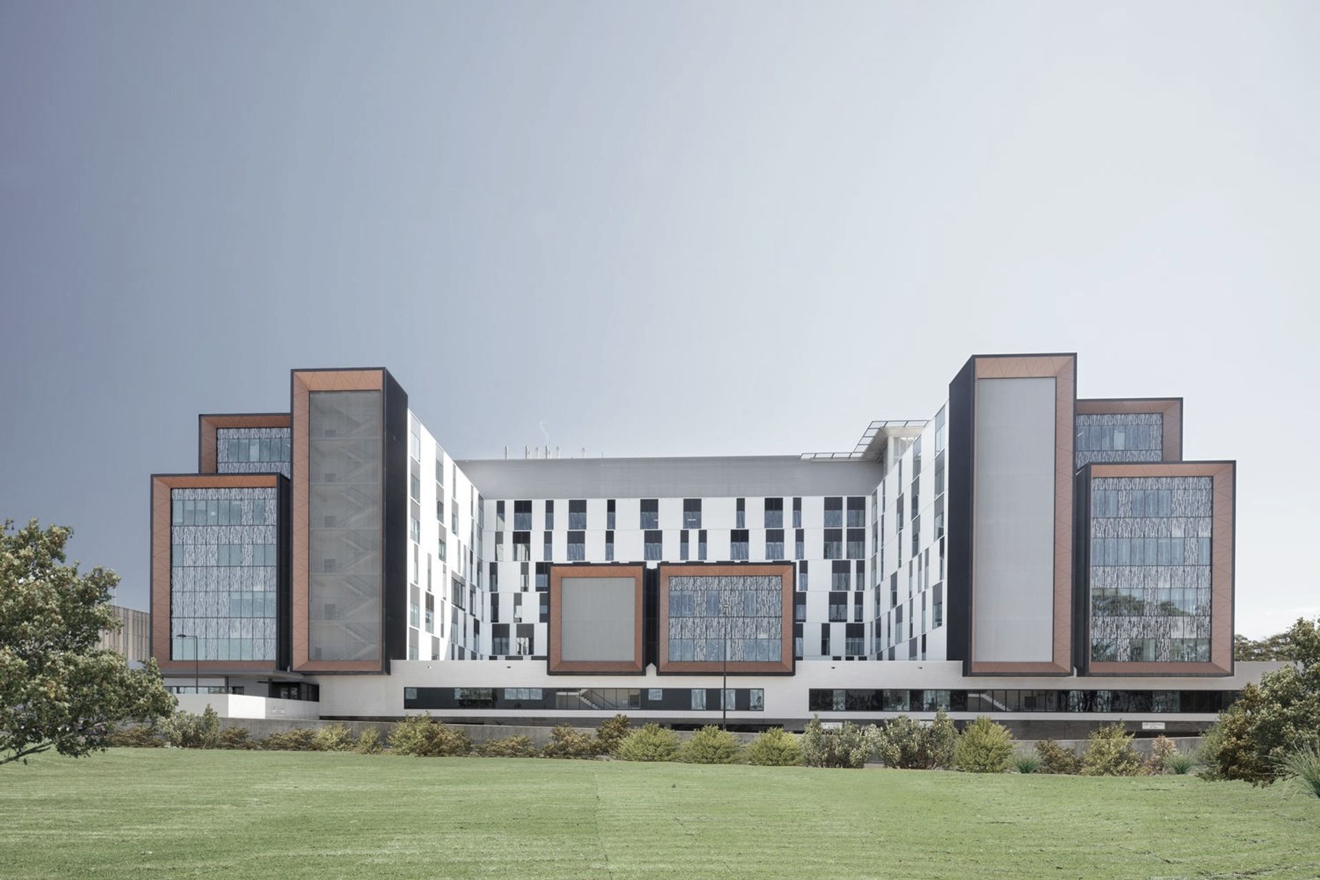 Supporting Image 3 for BVN