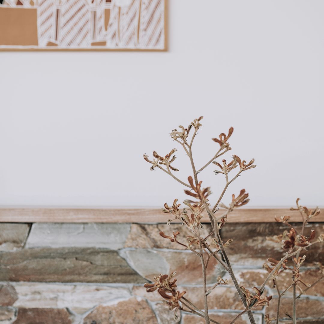 Dwelling Design