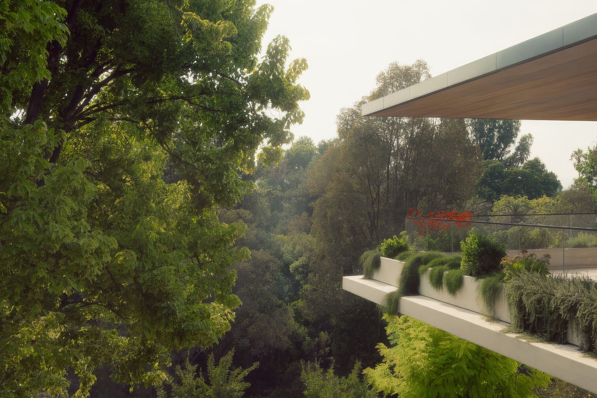 Supporting Image 1 for Rob Mills Architecture & Interiors