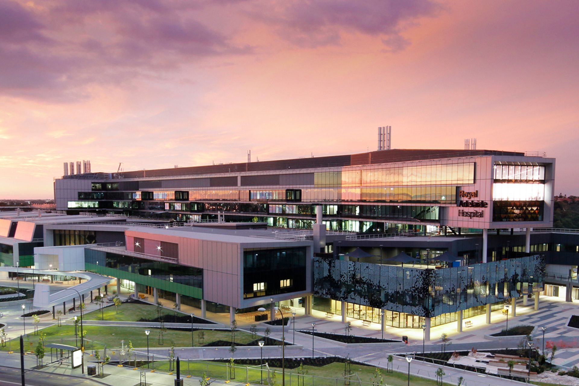 Supporting Image 4 for STH