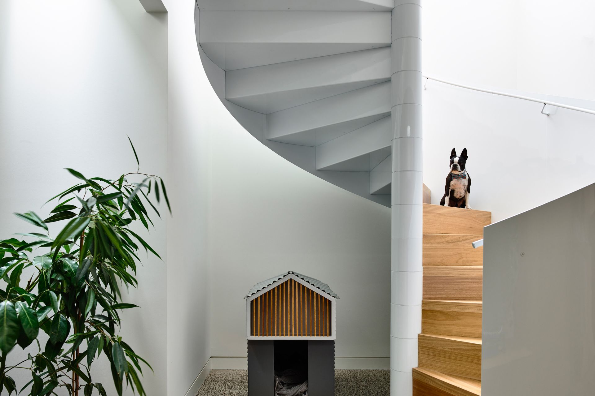 Supporting Image 1 for Sonelo Architects