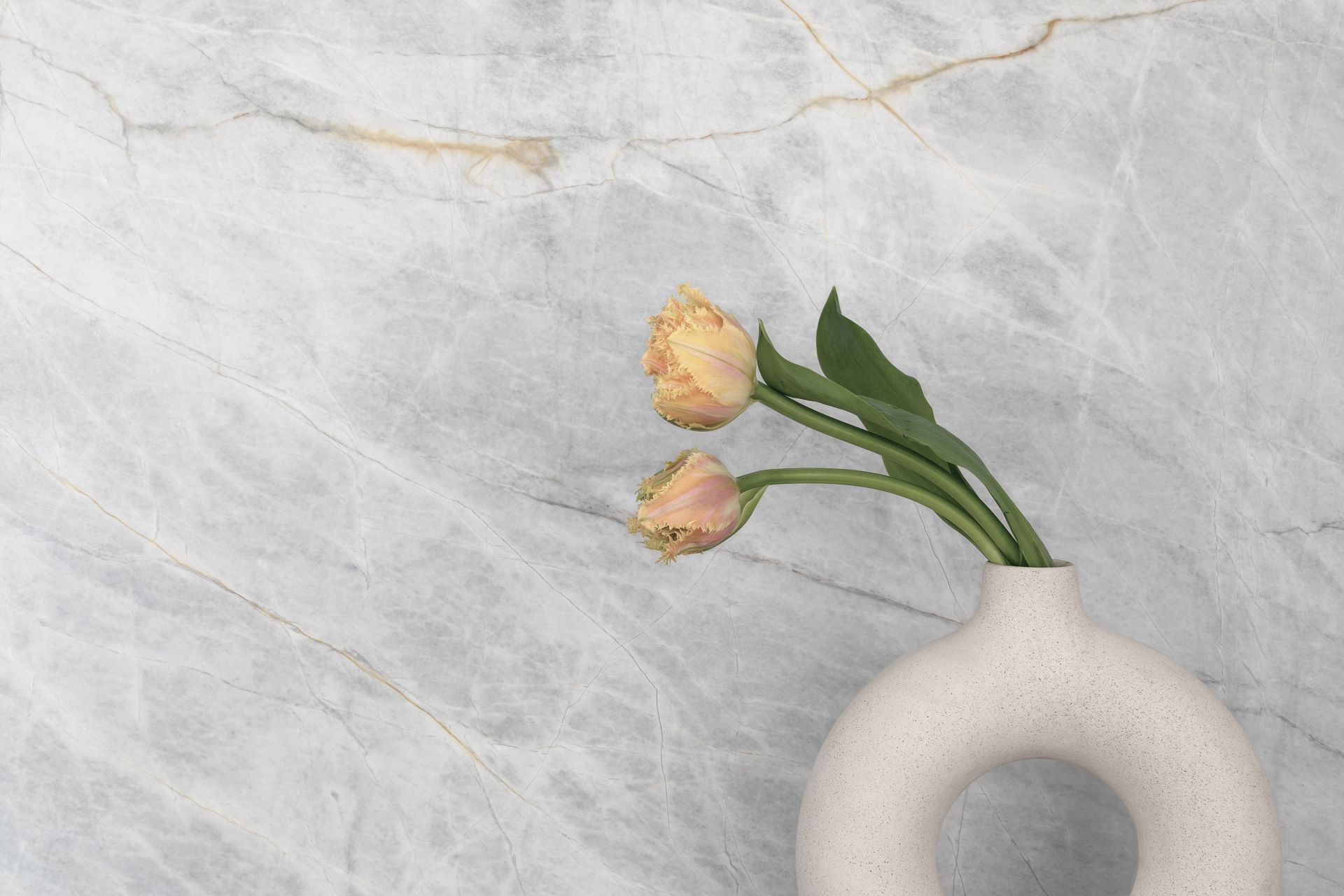 Supporting Image 3 for Bonnie Mills Architecture + Interiors