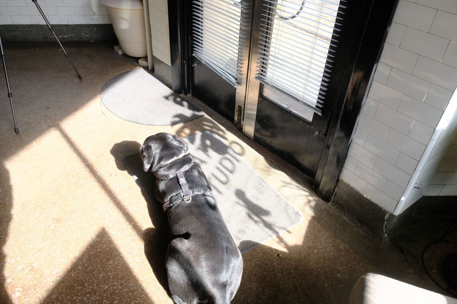 Northern Edge Studio