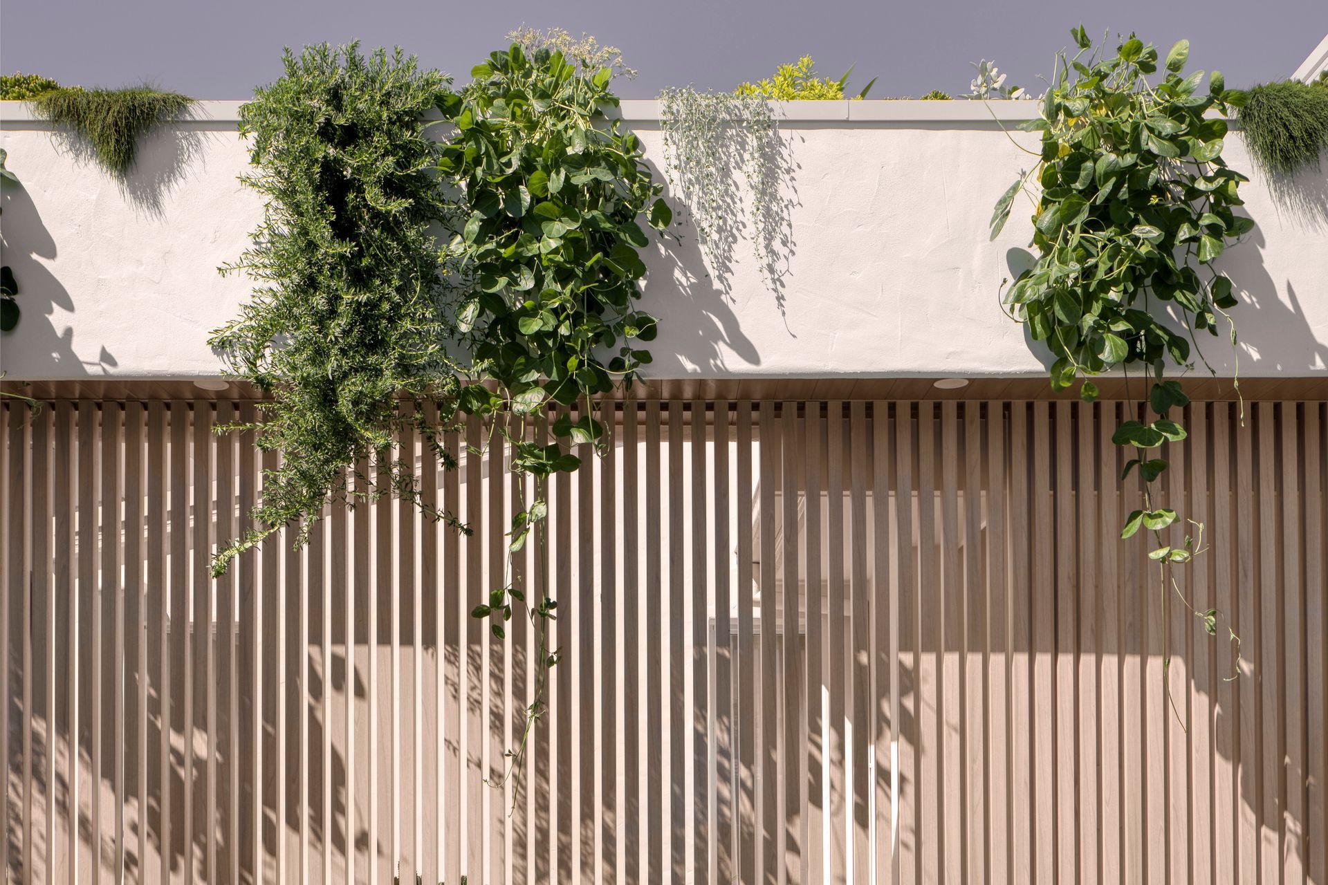 Habitat Studio Architects banner