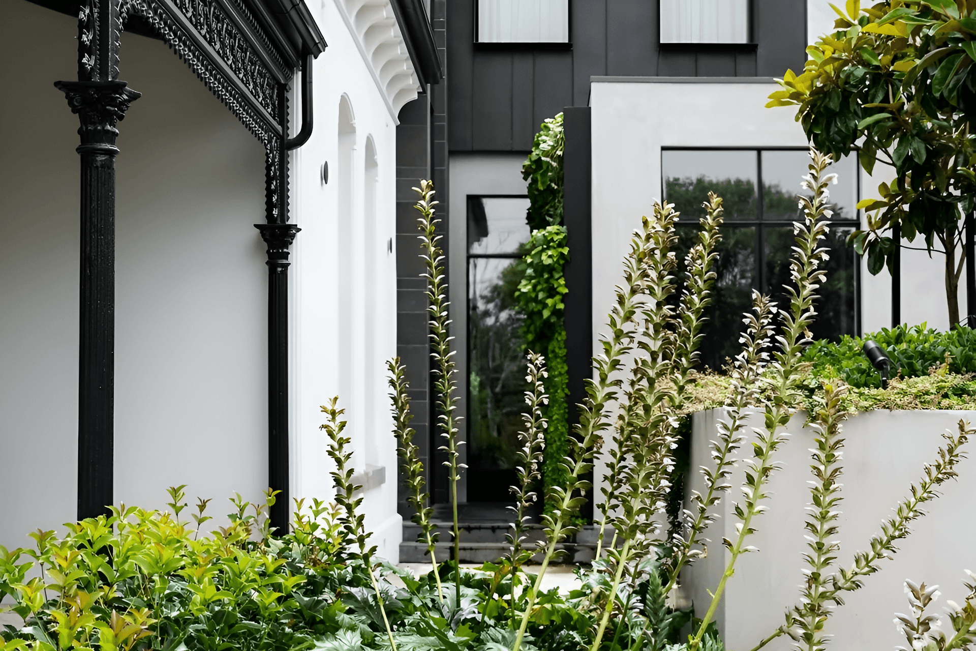 Supporting Image 1 for DMA Studio