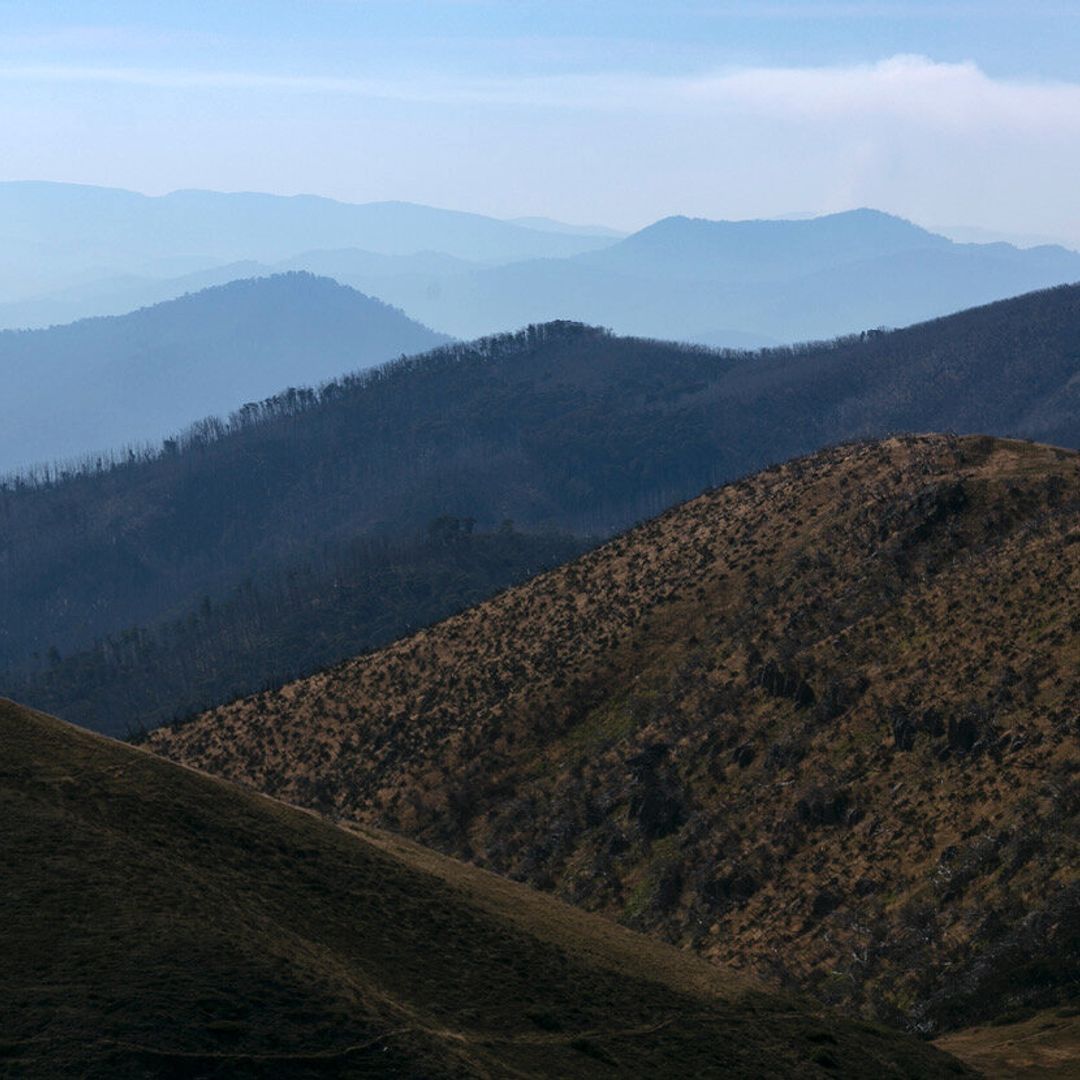 Mountain Creek Architecture